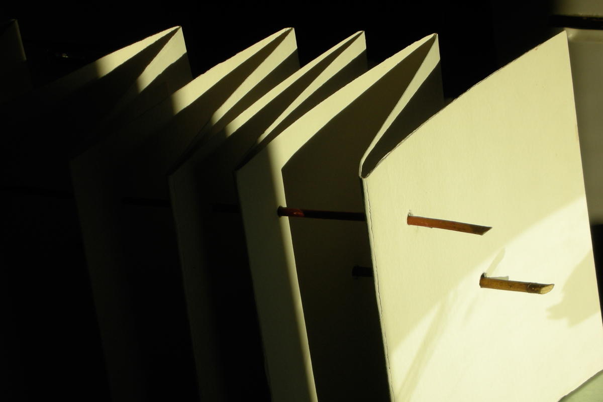 Banner Image 1
