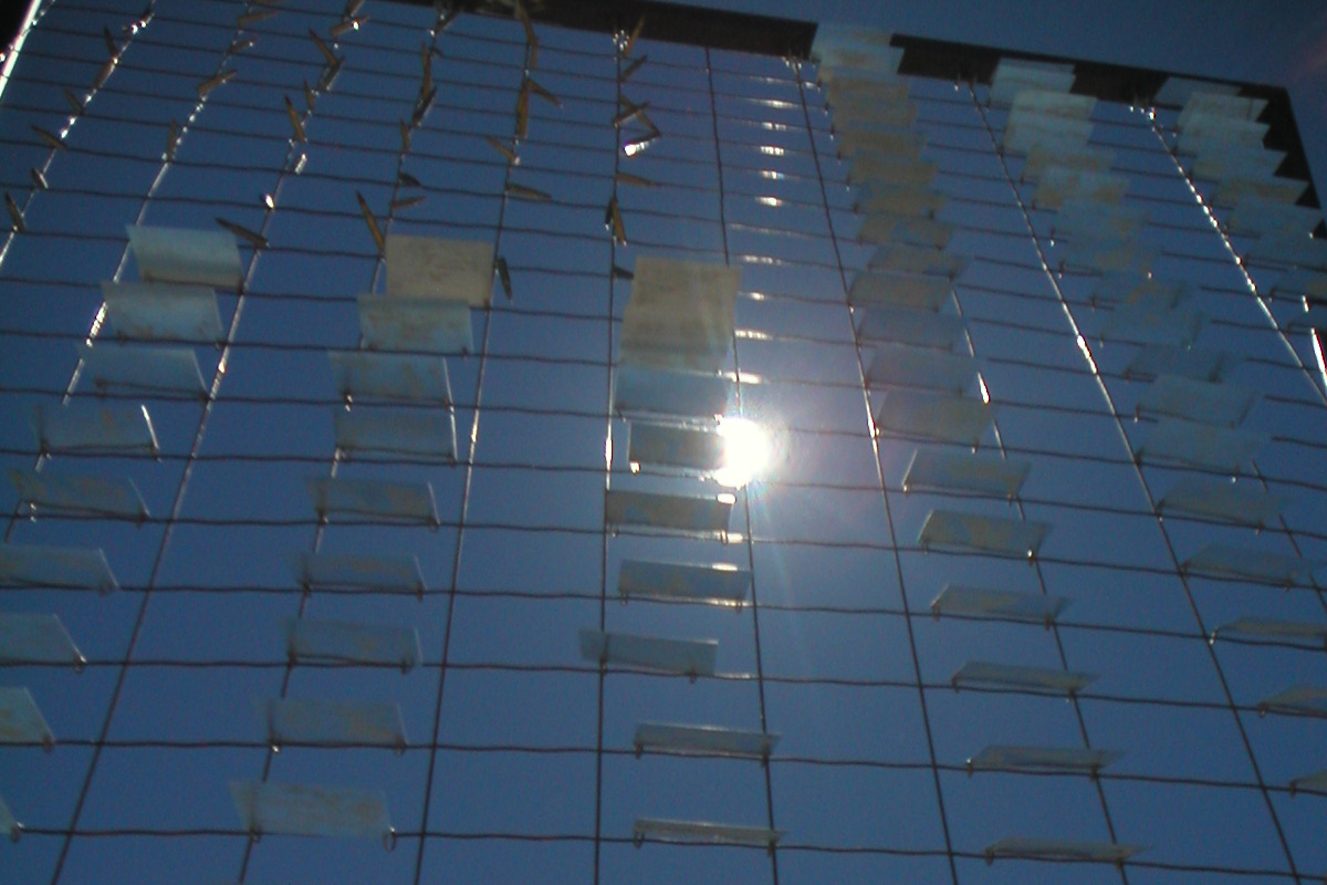 Banner Image 1